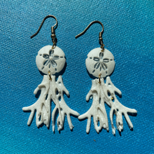 Load image into Gallery viewer, Sand Dollar and Coral earrings