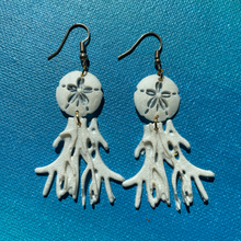 Load image into Gallery viewer, Sand Dollar and Coral earrings
